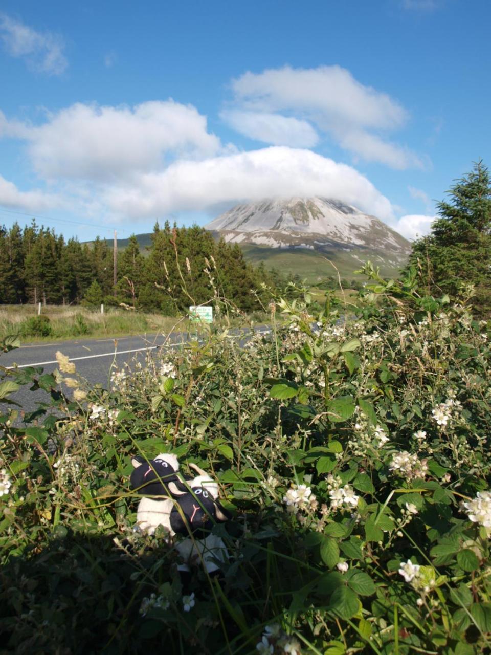 The Lookout Ardara Hotel Exterior foto